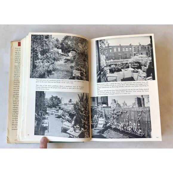 Vintage 1964 City Gardener 1st Ed HC Book Rooftop Terrace Balcony DJ Illus Truex - Picture 9 of 16